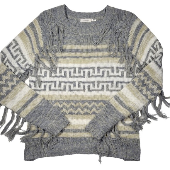 Fringe Sleeve Sweater from Altar'd State - Picture 1 of 7